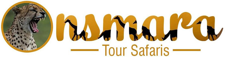 Onsmara Magical Safaris