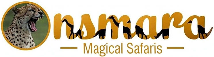 Onsmara Magical Safaris